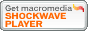Shockwave Player Download